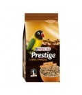 Prestige Premium African Parakeet Loro Parque 