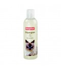 Shampoo Kat Macadamia 250 ml