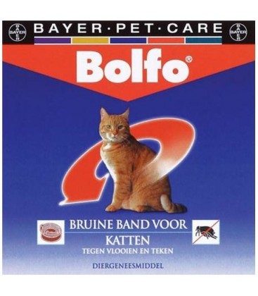 Bolfo Band Kat Bruin