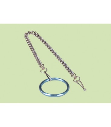 Papegaaien Ketting