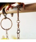 Papegaaien Ketting