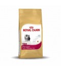 Royal Canin Persian 2kg