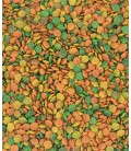 G14 Tropical grote parkiet 1 kg