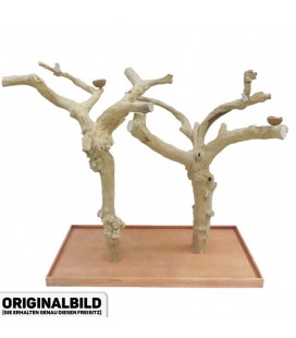 Javaboom XXXL( Double )